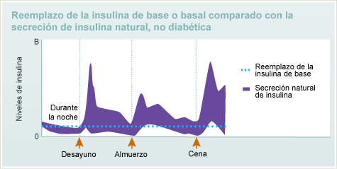 reemplazo de la insulina de fondo o基础比较con la la lasecreciónde Insulina自然，没有diabética