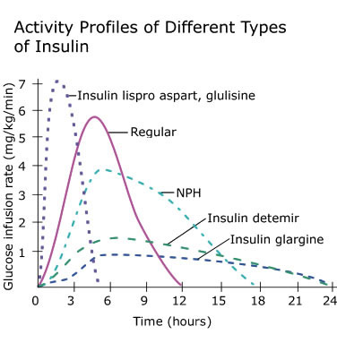 不同类型胰岛素的活动曲线