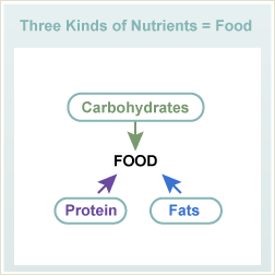 食物中的三种营养