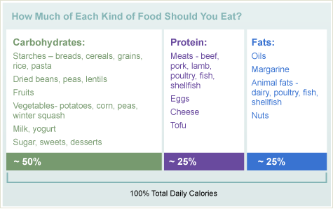 您应该吃多少每种食物 - 图表