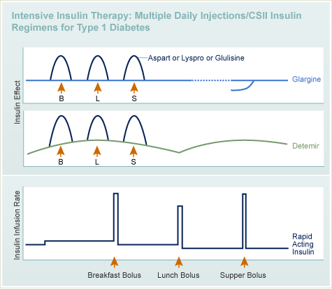 强化胰岛素治疗：胰岛素效应图表