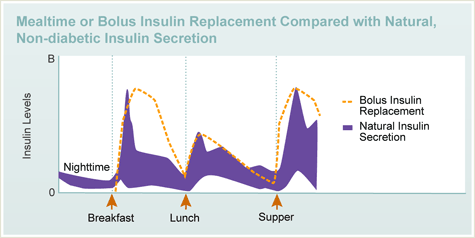与天然非糖尿病胰岛素分泌相比，进餐时间或推注胰岛素替代品
